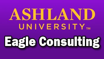 Eagle Consulting