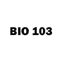 bio 103