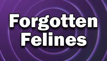 Forgotten Felines