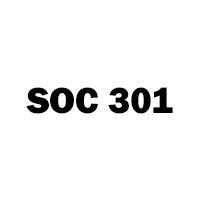 soc 301